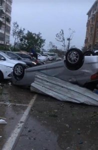 山东莘县现龙卷风多辆汽车被掀翻-有伤员送医救治树木受损严重