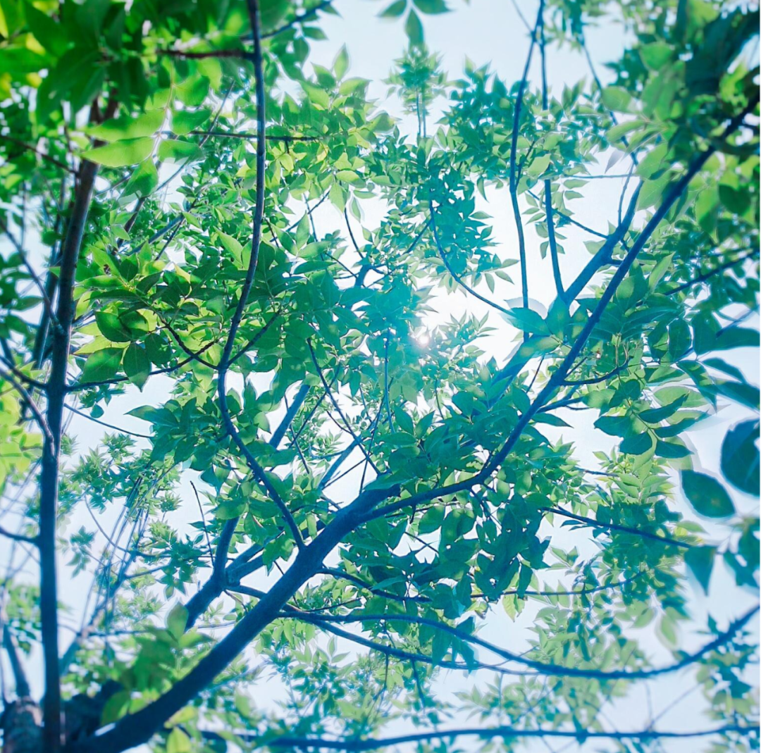 描写天气热的优美段落-夏天炎热的唯美句子