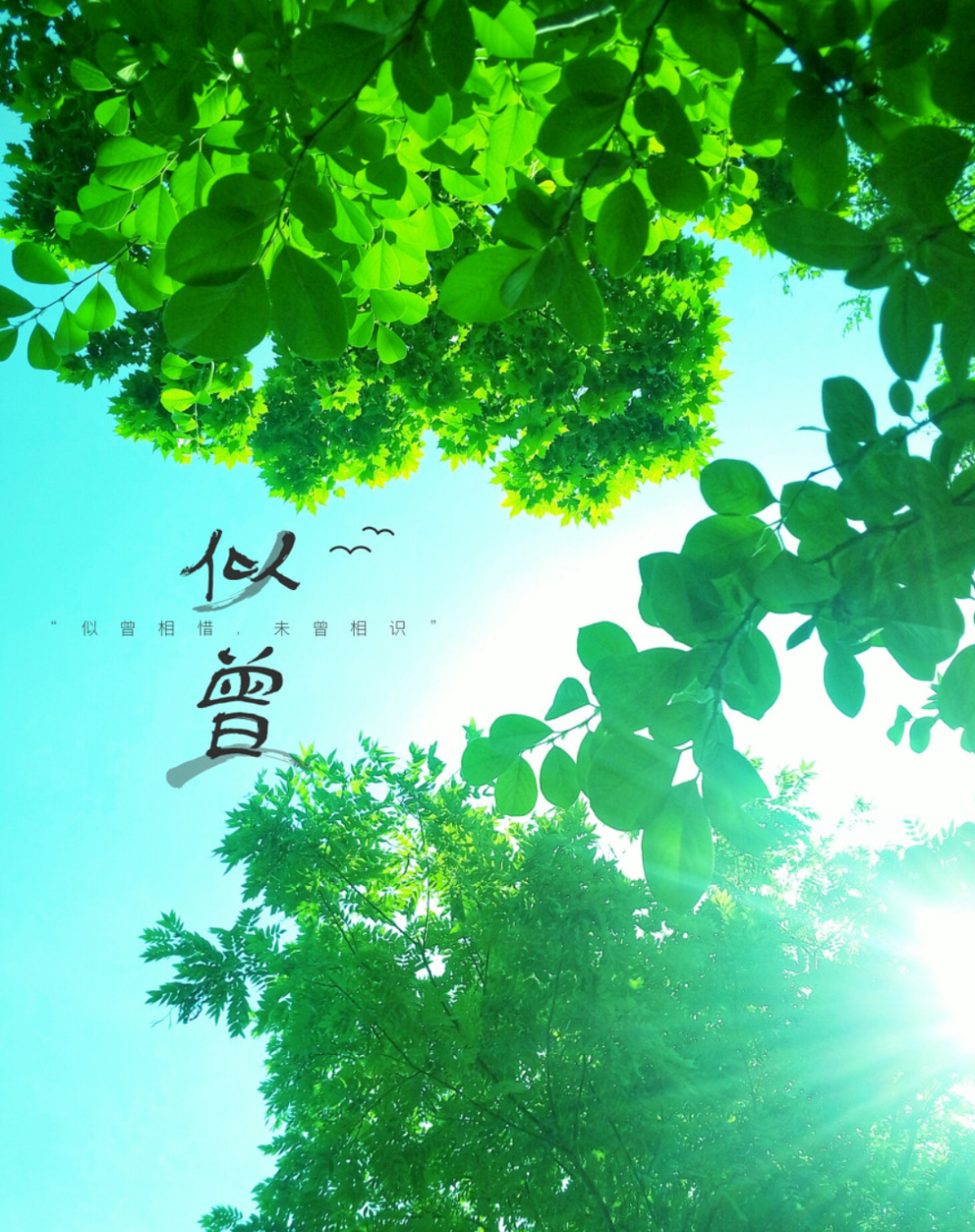 描写天气热的优美段落-夏天炎热的唯美句子