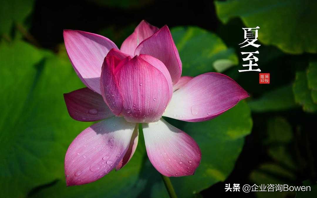 冲业绩的短句搞笑-适合月底冲业绩的发朋友圈的句子