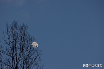 关于月亮的诗歌有哪些-带有月亮的古诗词分享