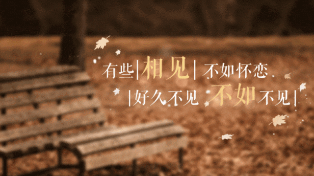 被爱伤的很深的句子-被情所伤的成语和句子