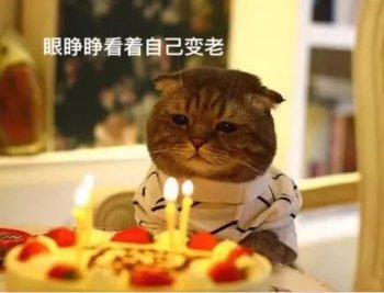 祝自己生日快乐的话怎么说-祝自己生日简单一句话