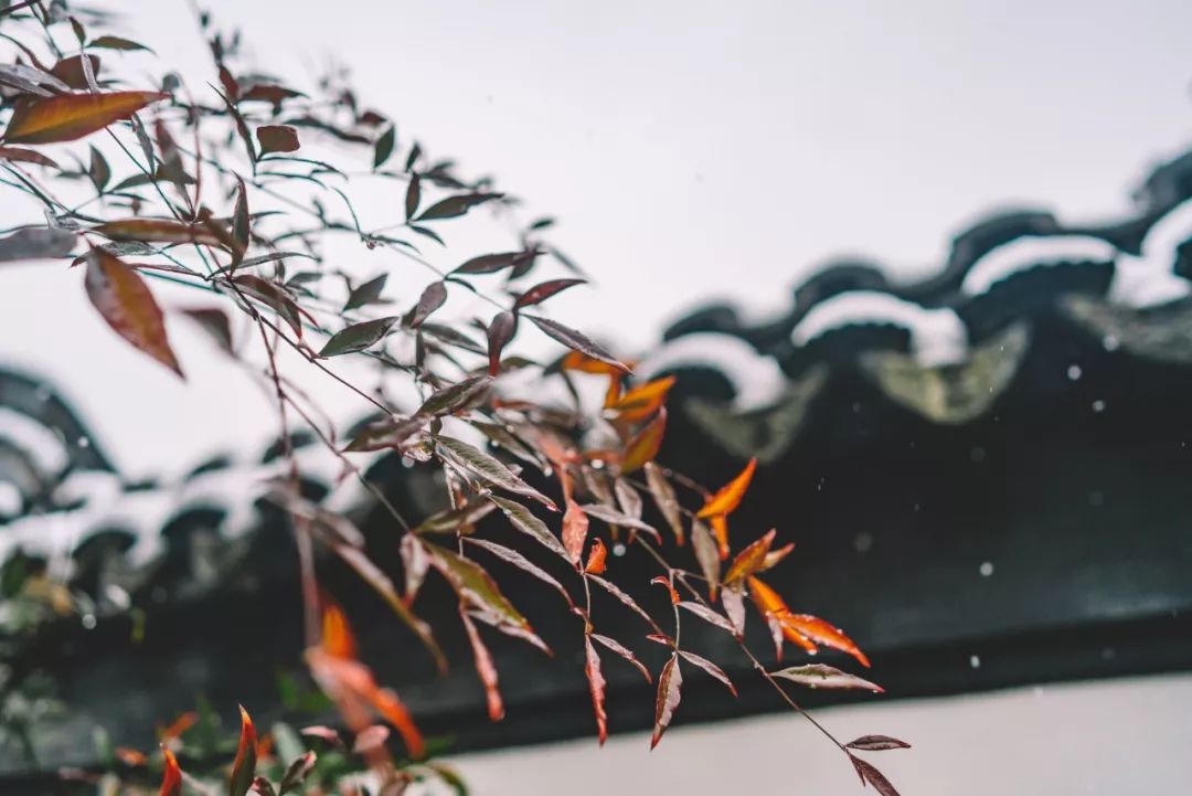 写雪的古诗名句-与雪有关的古诗