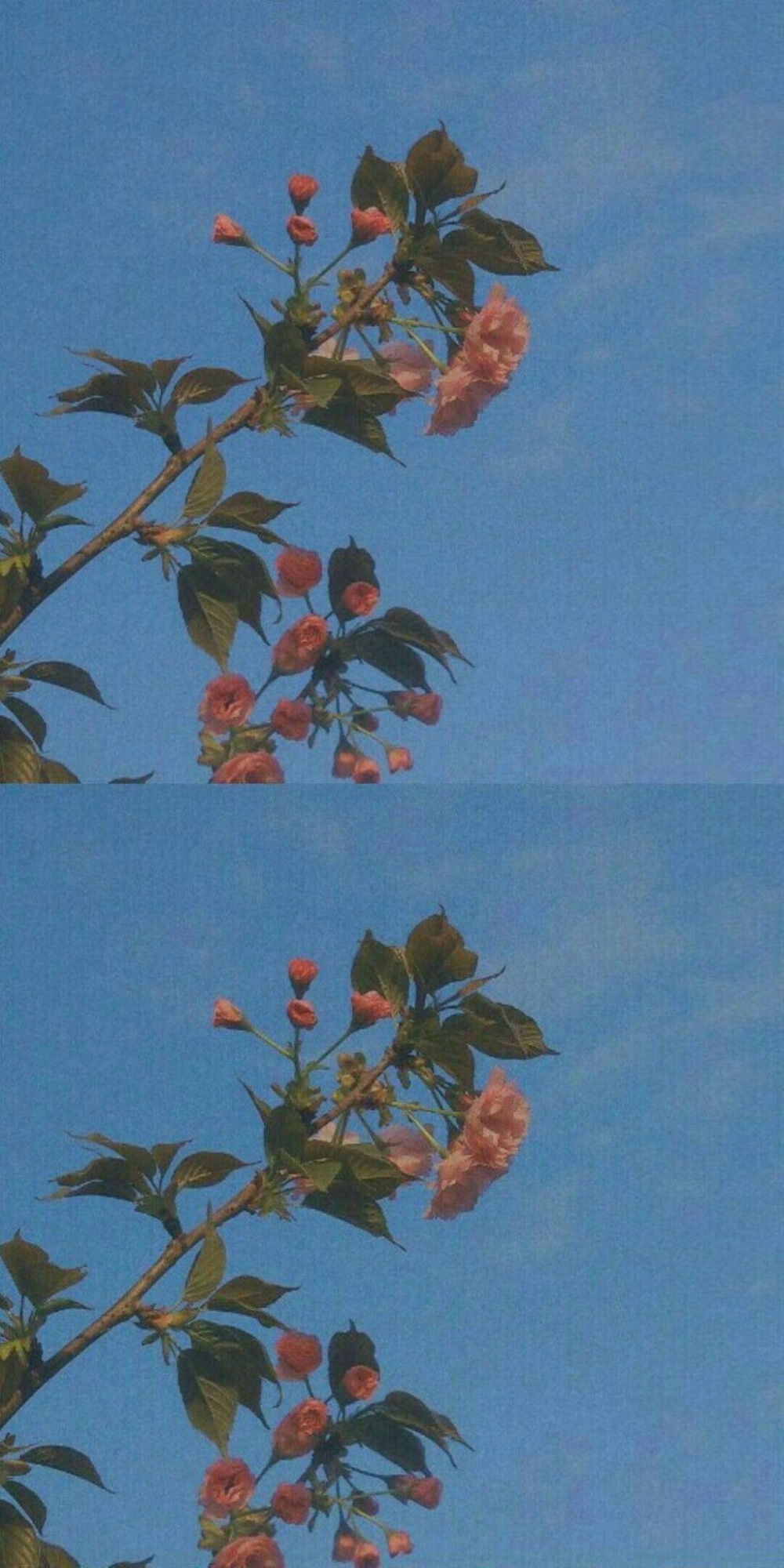 有关蓝色的文艺句子-描写蓝色的唯美句子大全