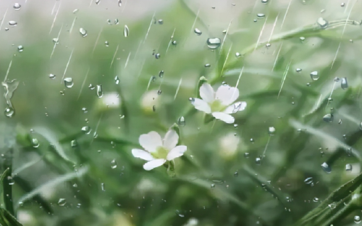 描写雨的古诗有哪些-雨意朦胧的10首古诗词赏析