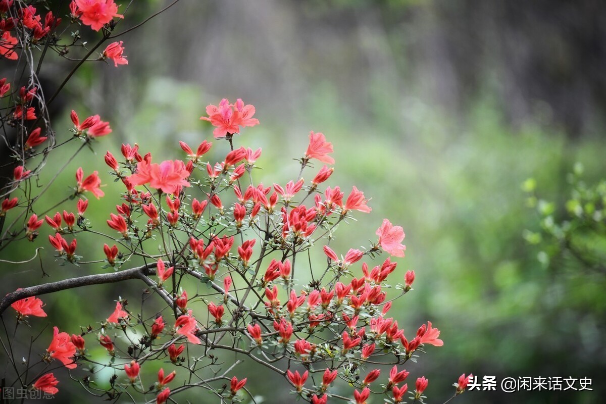 云淡风轻的优美句子景色-云淡风轻的古风句子