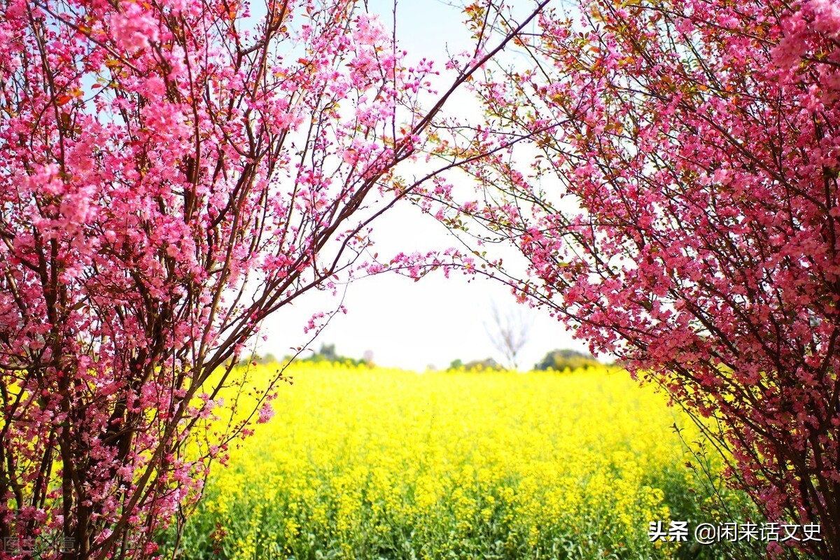 云淡风轻的优美句子景色-云淡风轻的古风句子