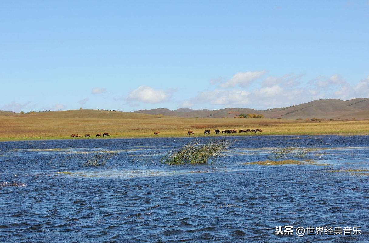 部队歌曲军营歌曲有哪些-好听的军旅歌曲大全