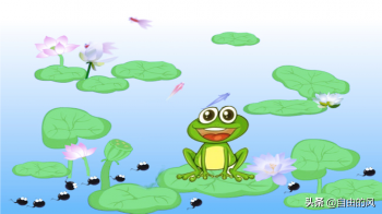 青蛙的样子描写和特点-青蛙特点和生活特征和外形
