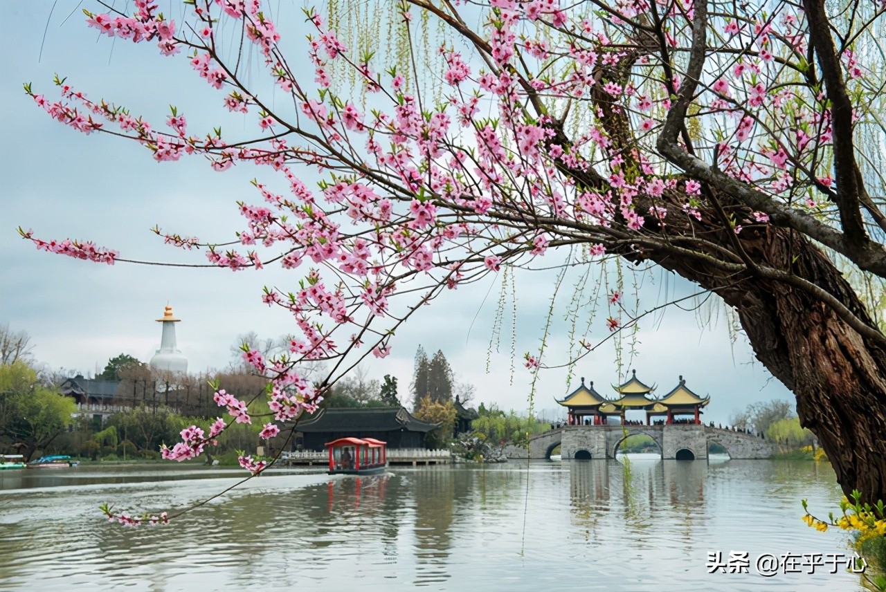 感恩祖国的句子大全-赞美祖国的精美句子