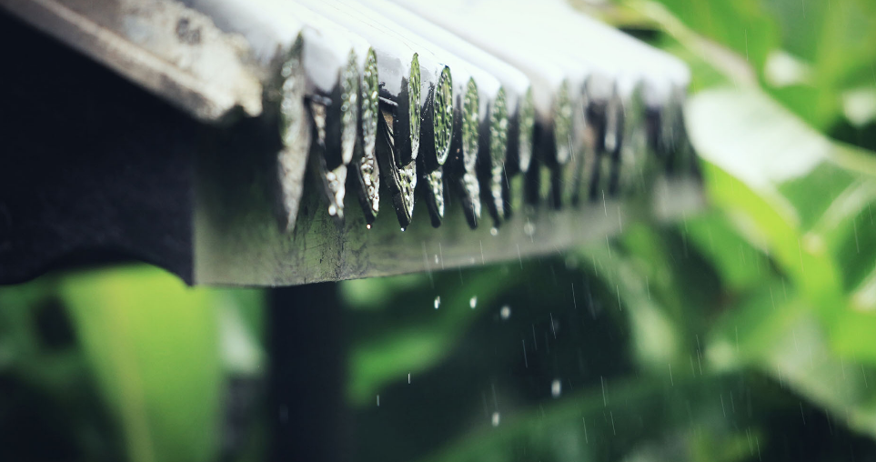 形容倾盆大雨的诗句有哪些-有关狂风暴雨的古诗词赏析