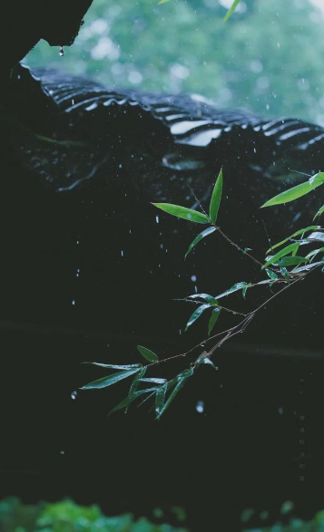 形容倾盆大雨的诗句有哪些-有关狂风暴雨的古诗词赏析