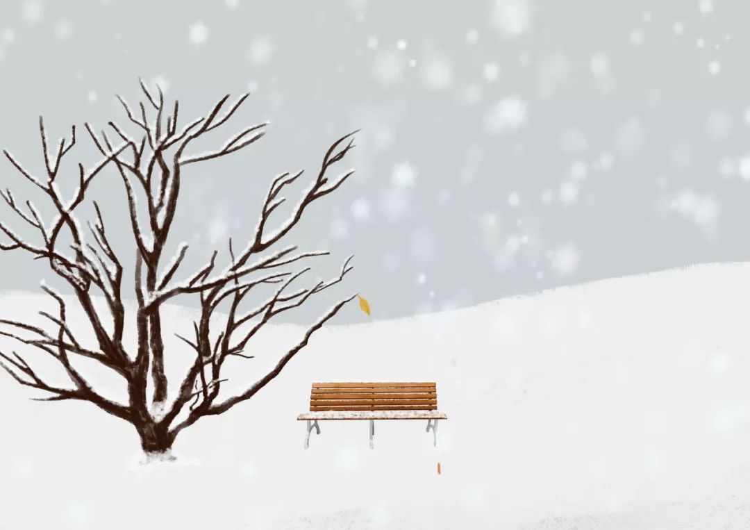 描写雪的古诗词名句-赞美雪景的诗句赏析