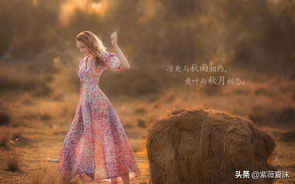描写秋天的句子-赞美秋天的唯美语录