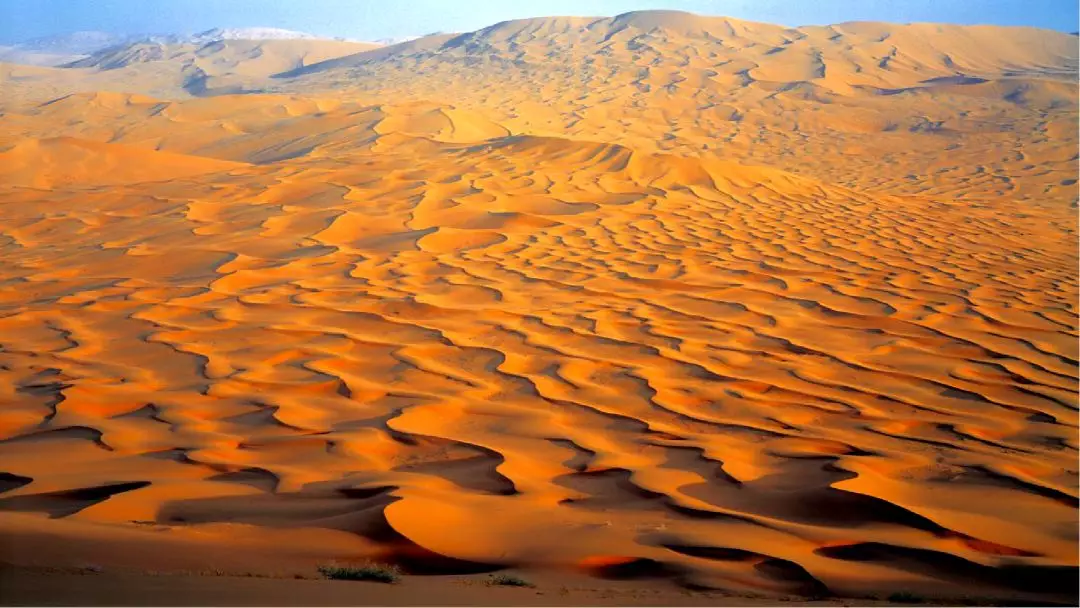 沙漠带给人心情的句子-分享沙漠人生感悟名句
