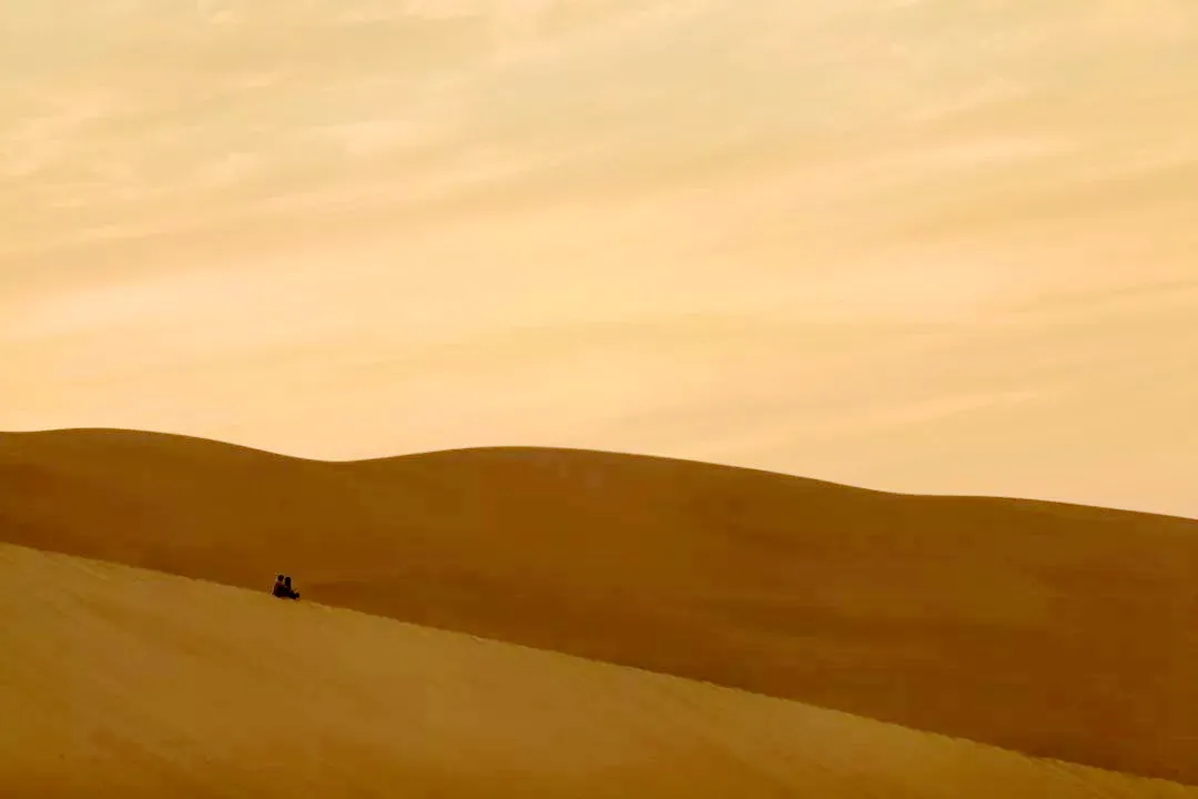 沙漠带给人心情的句子-分享沙漠人生感悟名句