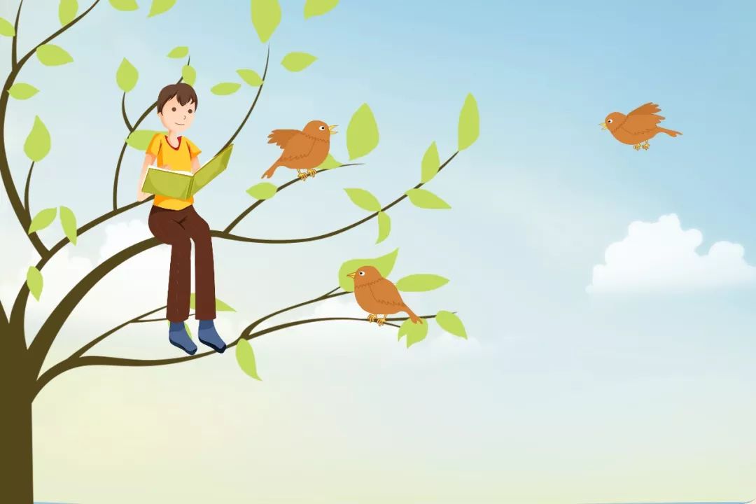 人物外貌描写的句子摘抄-形容人的外貌的好词好句