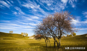 秋天吃什么(适合秋天吃的菜谱大全)