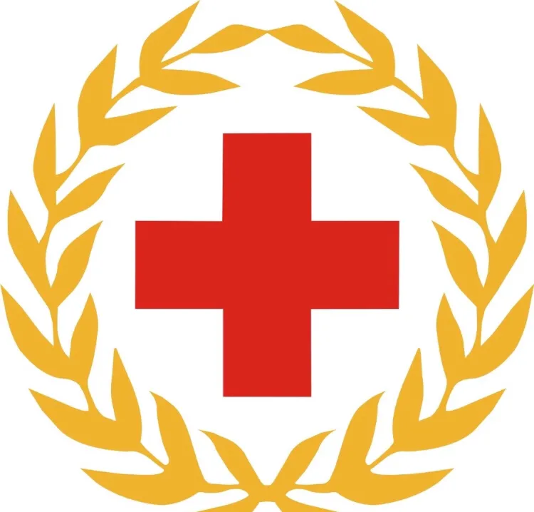 中国红十字会是什么性质的机构