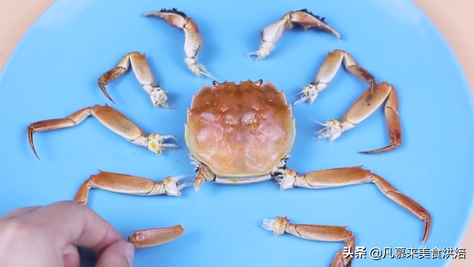 手把手教你螃蟹的正确吃法，步骤详细，好多部位以前你都吃错了