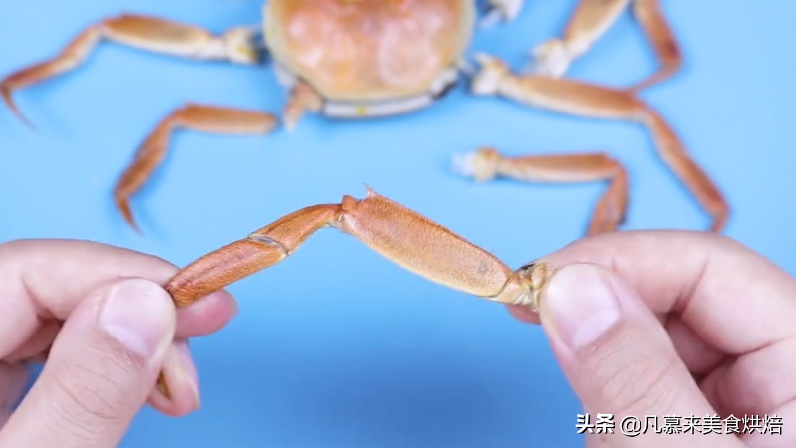 手把手教你螃蟹的正确吃法，步骤详细，好多部位以前你都吃错了