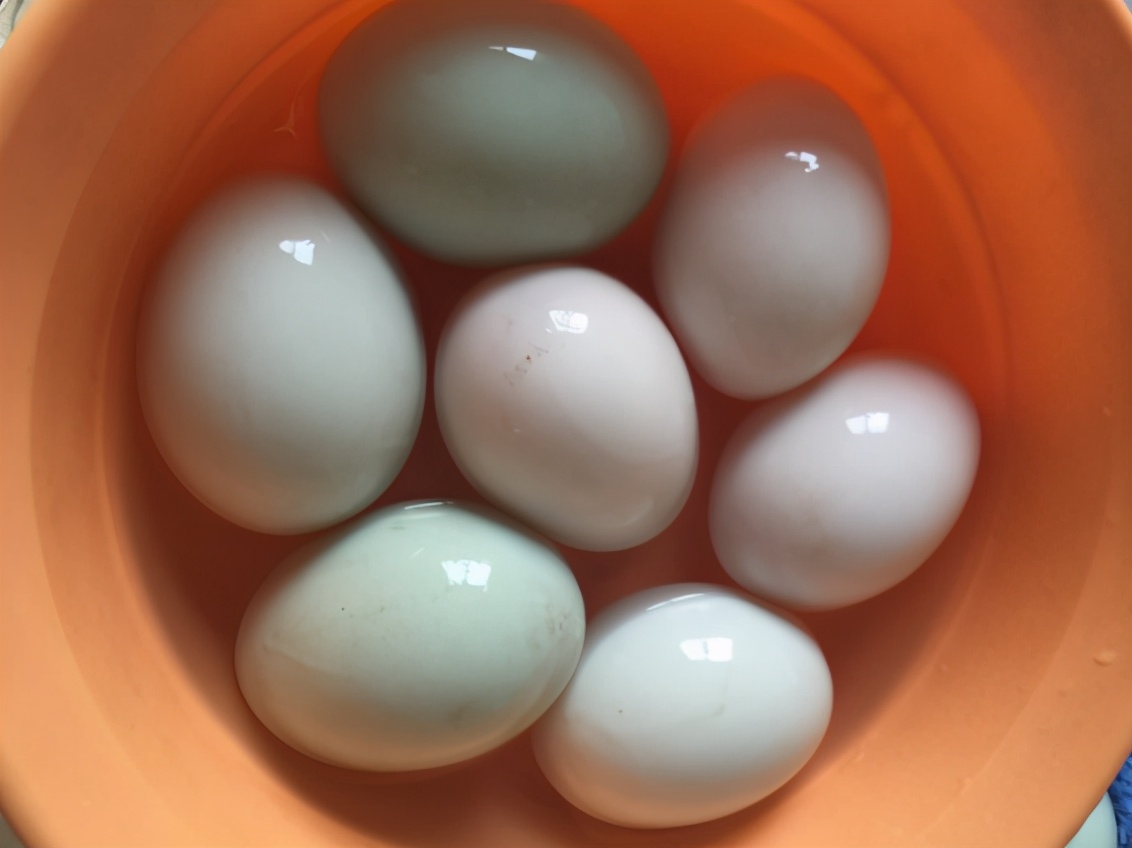 保存咸鸭蛋，用2物处理后放冰箱，保鲜12个月，和刚煮的一样好吃