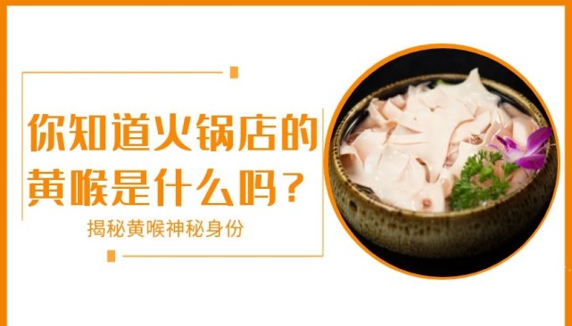 你知道火锅店的黄喉是什么吗？