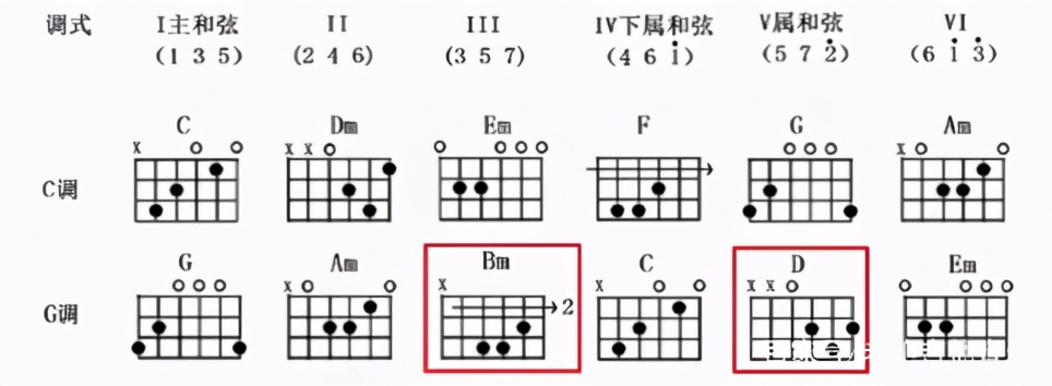 如何通过C调音阶如何快速掌握G调音阶，了解这个规律即可