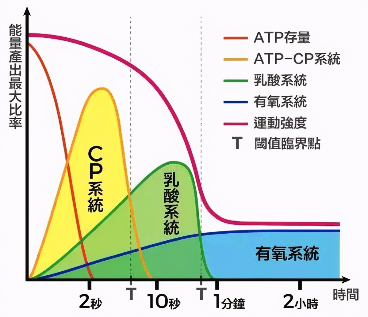 做仰卧起坐减肚子靠谱吗，其实做错了，怎么减掉小肚腩