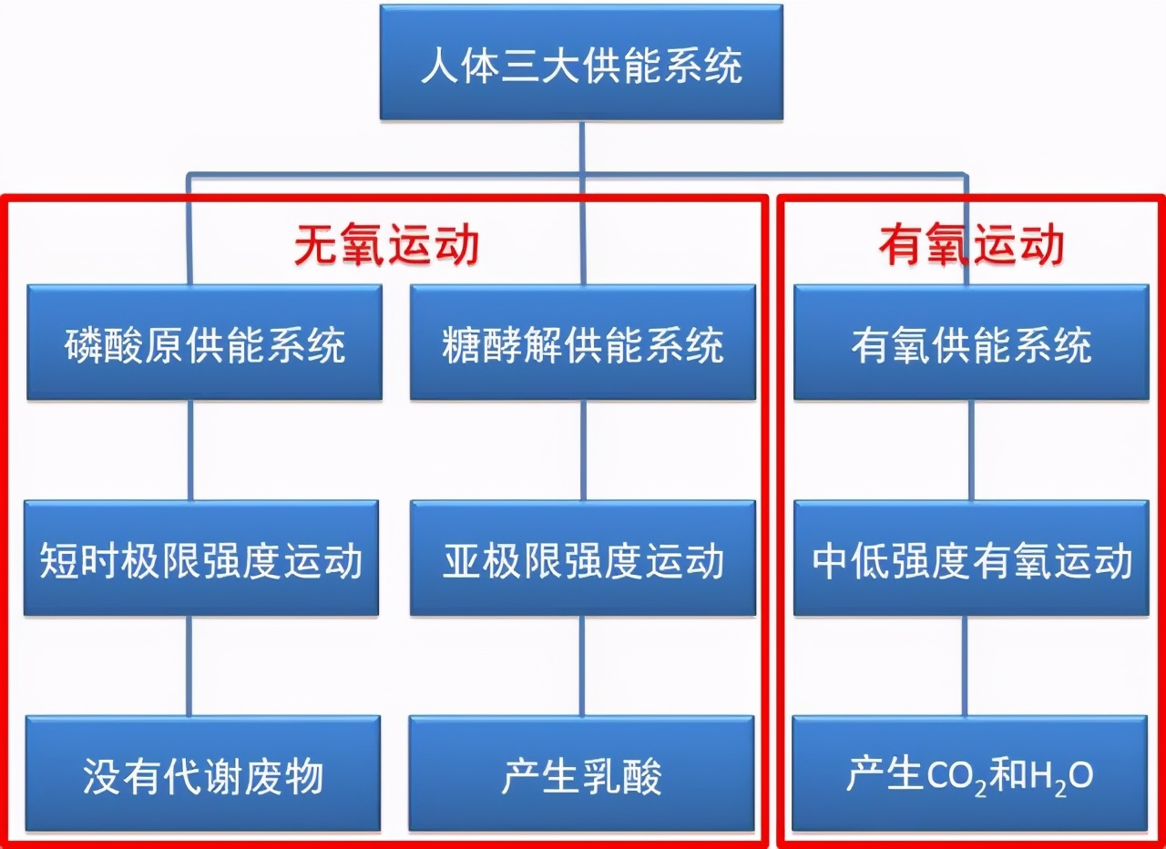 做仰卧起坐减肚子靠谱吗，其实做错了，怎么减掉小肚腩