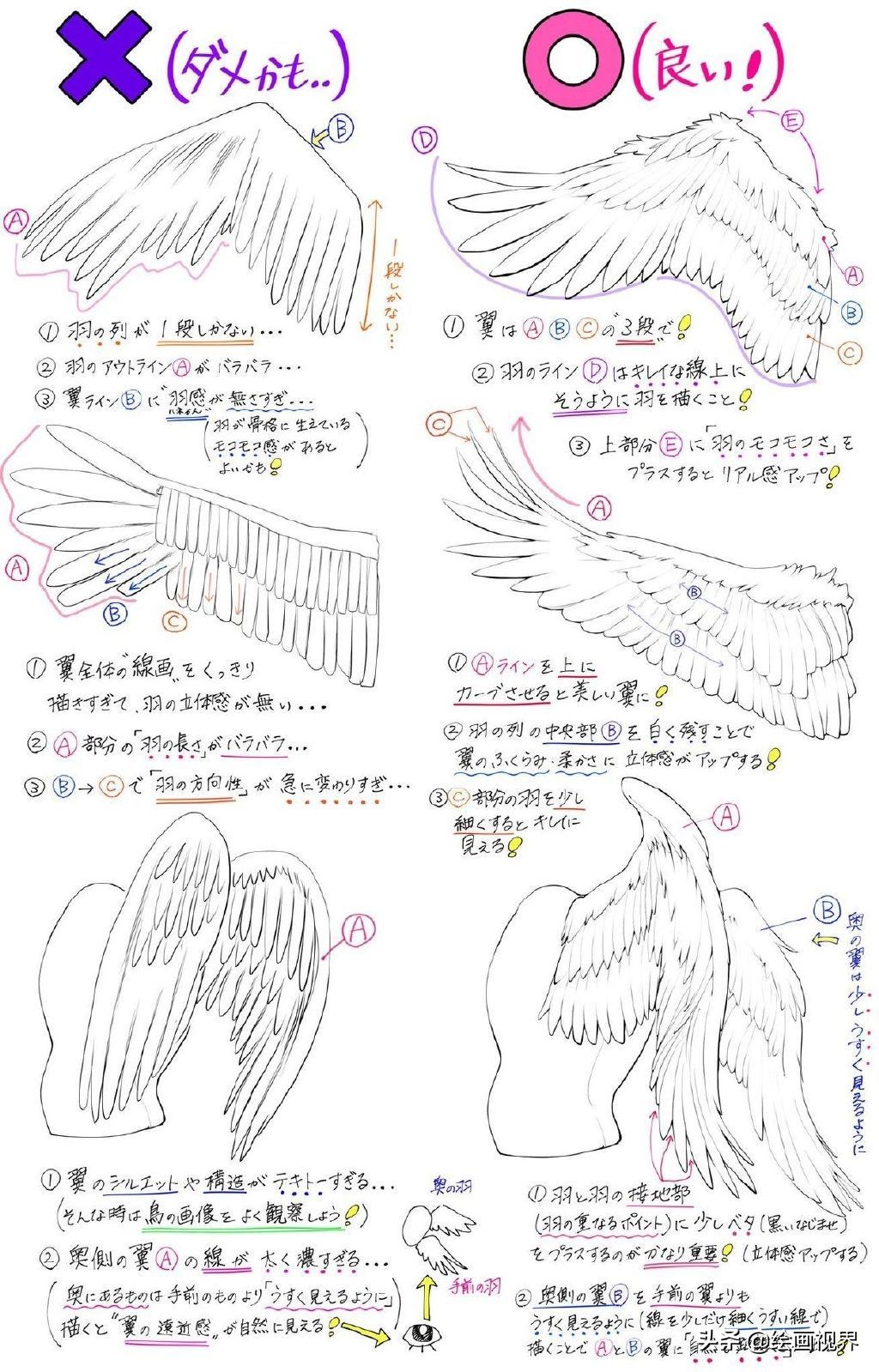 干货！初学者怎么正确画翅膀，线稿分享教你画，收藏起来临摹学习