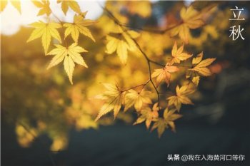 2021年是早秋还是晚秋(2021年几点立秋)