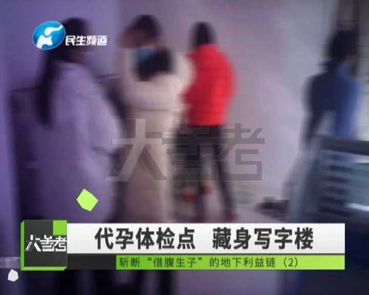 女记者卧底调查，揭秘地下代孕黑色利益链