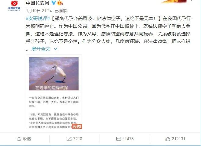 女记者卧底调查，揭秘地下代孕黑色利益链