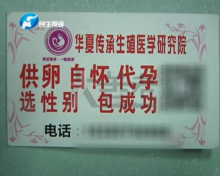 女记者卧底调查，揭秘地下代孕黑色利益链