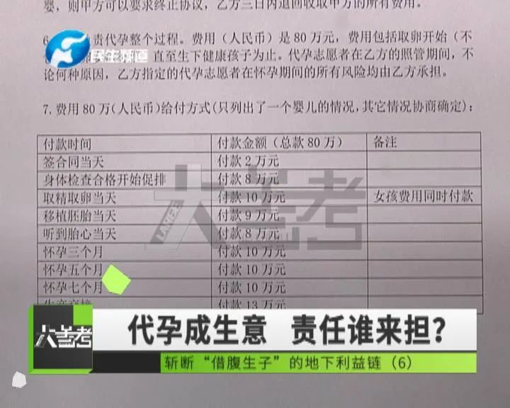 女记者卧底调查，揭秘地下代孕黑色利益链