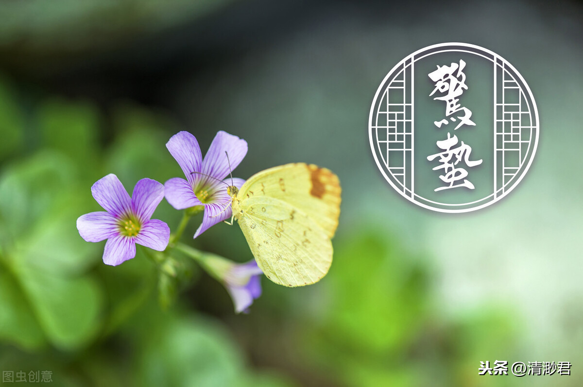 惊蛰节气，别忘了吃5种传统美食，顺时而食，帮你和家人平安度春