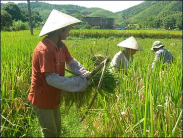 你知道立秋节气的由来吗？