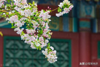 2021年3月节日(中国三月份有什么节日)