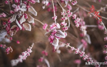 立冬和冬至什么区别(幼儿园立冬节气美篇)