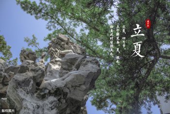 立夏的风俗有哪些(立夏有哪些民俗活动)