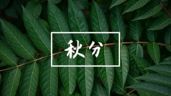 秋分象征着什么(秋分简介以及寓意)