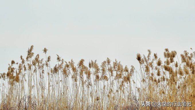 巢湖，五大淡水湖最令人惋惜的，排名由全国退到局部，这是为何