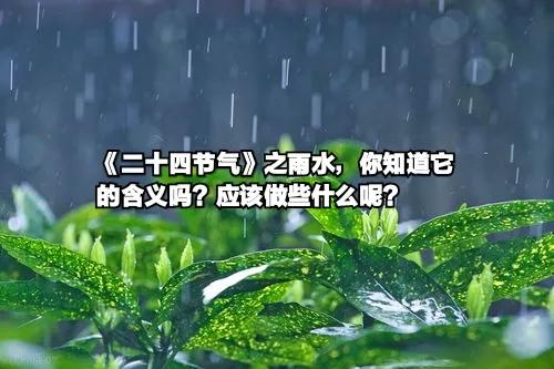 《二十四节气》之雨水，你知道雨水的含义吗？我们应做什么呢？