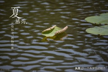 夏至的来历和风俗(夏至的由来简介)