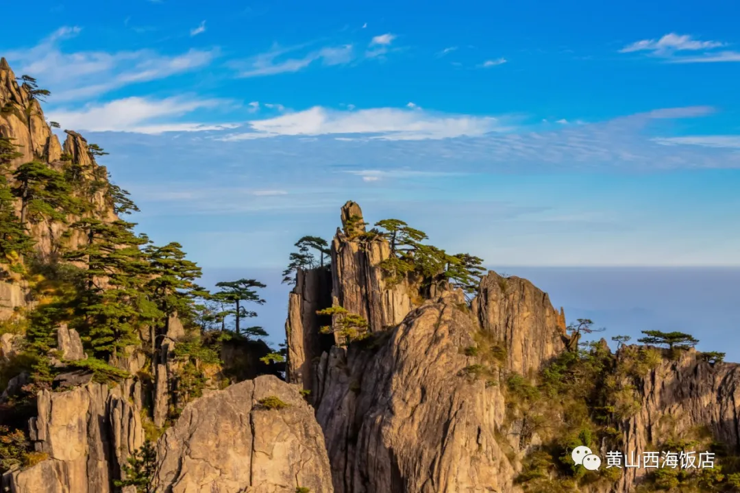 开学第一课丨跟着课本游黄山，除了这些你还认识哪些奇石