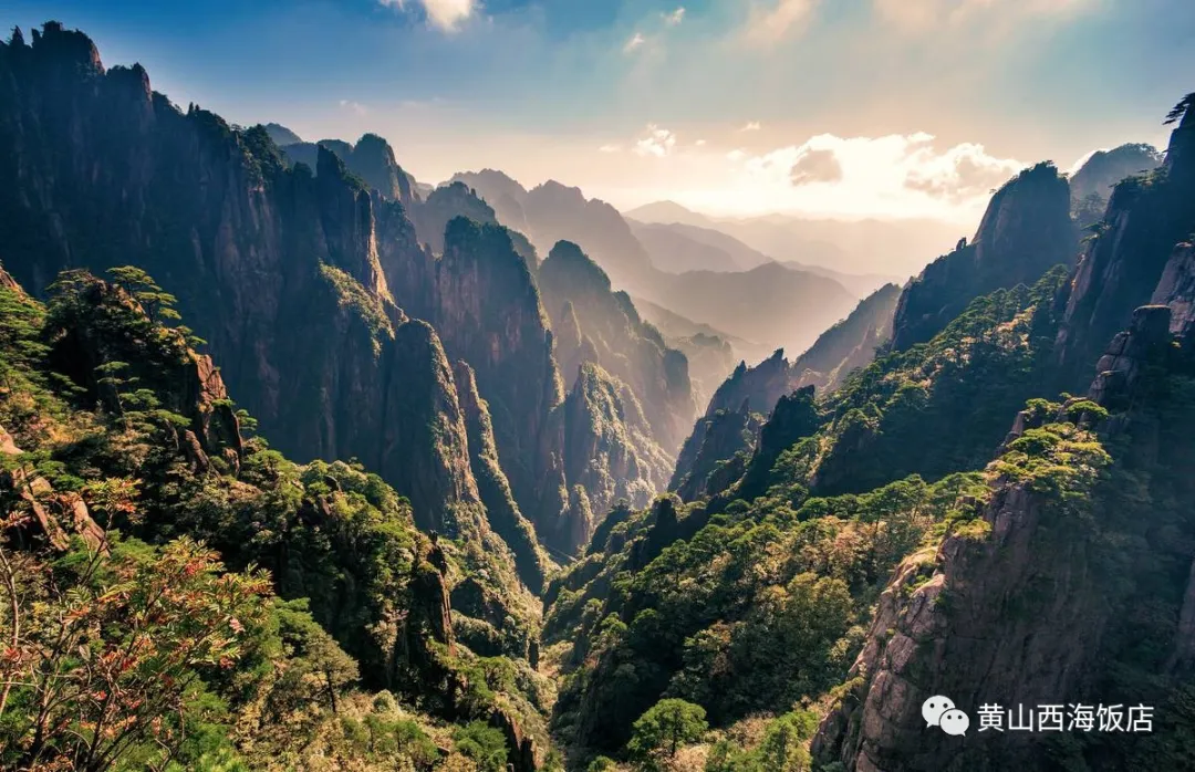 开学第一课丨跟着课本游黄山，除了这些你还认识哪些奇石