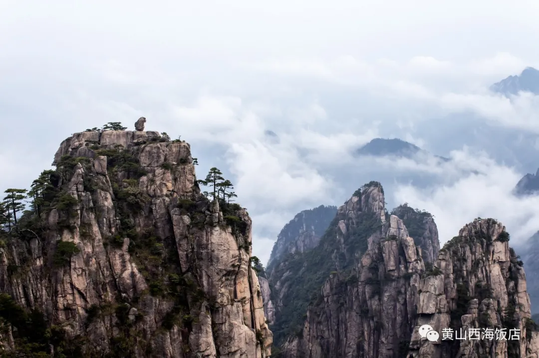 开学第一课丨跟着课本游黄山，除了这些你还认识哪些奇石