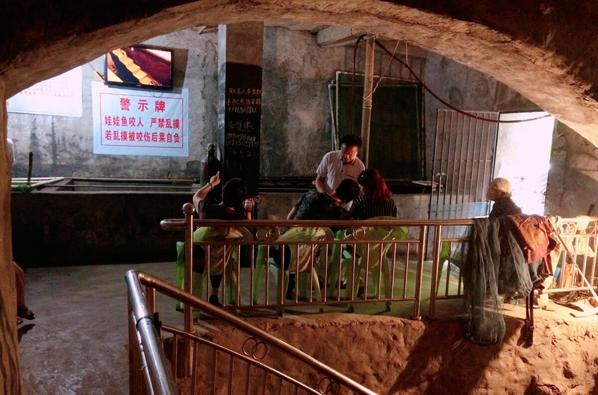 重庆农户家挖出神奇鱼泉，源源不断涌出上百斤鱼，吸引无数游客